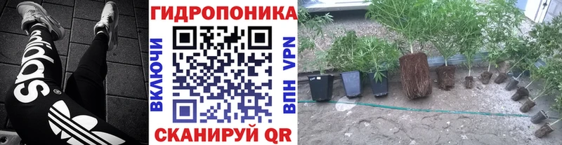 Конопля ГИДРОПОН  цена   blacksprut вход  Сорск 